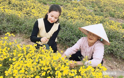 Hải Phòng: “Nữ tướng” giúp đưa về những mùa vàng bội thu