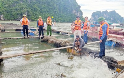 Quảng Ninh: Thay thế gần 7 triệu phao xốp trong nuôi trồng thủy sản