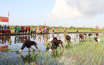 Quảng Ninh có thêm 4 di sản văn hóa phi vật thể quốc gia