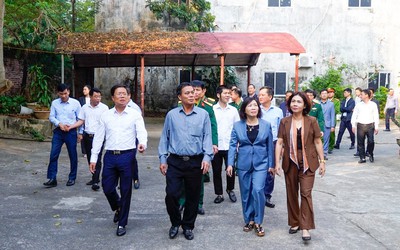 Chủ tịch Hải Phòng đồng ý chủ trương đấu giá 3 khu đất ở Đồ Sơn