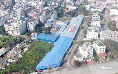 Hải Phòng: Tạm dừng triển khai bãi đỗ xe ô tô rộng hơn 10.000 m2