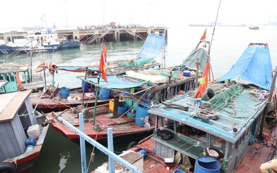Quảng Ninh: Xử lý 49 tàu, thuyền vi phạm trên vịnh Hạ Long