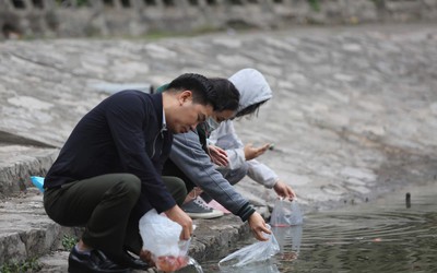 Nên thả cá chép ngày ông Công ông Táo vào giờ nào?