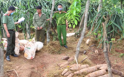 Khám nhà 2 đối tượng, phát hiện gần nửa tấn thuốc nổ và nhiều đầu đạn nguy hiểm