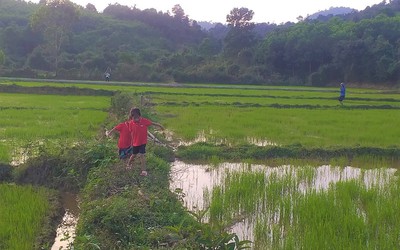 Hai hộ dân người Mã Liềng ở Quảng Bình viết đơn xin ra khỏi hộ nghèo