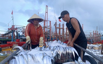 Làng biển có doanh thu hơn 50 tỷ đồng trong tháng 3: Hé lộ mức thu nhập của ngư dân