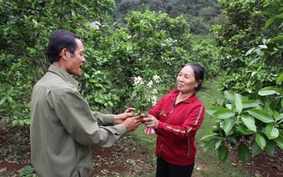 Món quà bất ngờ tặng người phụ nữ nghị lực nuôi 4 con chờ chồng ra tù