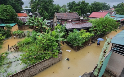 Nghệ An: Mưa to gây ngập lụt nhiều nơi, hoa màu bị hư hỏng