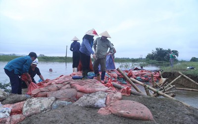 Bảo vệ đê điều là bảo vệ tính mạng, tài sản người dân