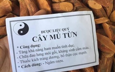 Uống nước nấu cây Mú từn, người đàn ông xuất hiện tình trạng loạn thần