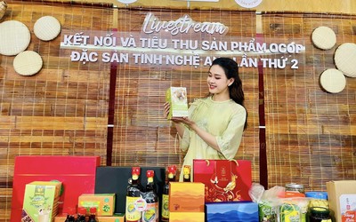 Kết nối và tiêu thụ sản phẩm OCOP của Nghệ An trên nền tảng trực tuyến