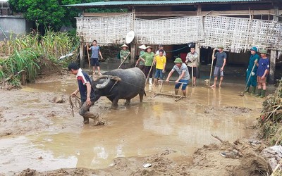 Sức sống trào dâng xóa dấu tích đại hồng thủy