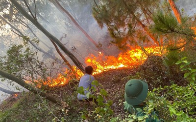 Nắng nóng, Nghệ An “kích hoạt” nhiều phương án phòng chống cháy rừng