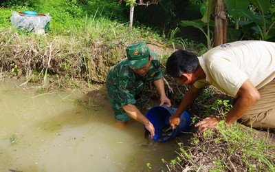 Bộ đội Biên phòng tỉnh Nghệ An hướng dẫn người dân làm kinh tế, vươn lên thoát nghèo