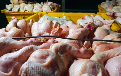 Đồng Nai: Phát hiện 350kg thực phẩm không đảm bảo vệ sinh