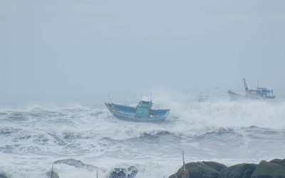 Bình Thuận: Tìm kiếm tàu cá bị mất liên lạc khi từ biển Trường Sa về Cảng Phan Thiết