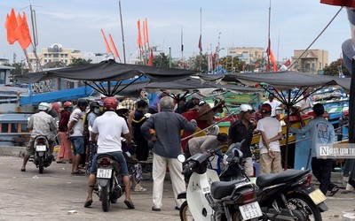 Tìm kiếm người đàn ông rơi xuống sông mất tích ở Cảng Phan Thiết