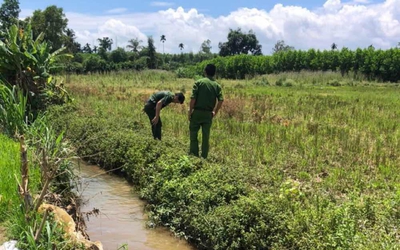 Bình Thuận: Người phụ nữ tử vong khi đi bắt cua đồng ngoài đồng ruộng