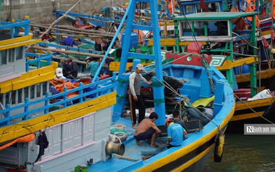 Bình Thuận: Truy tìm tàu vận tải đâm tàu cá khiến một người mất tích