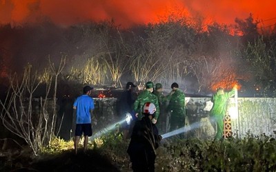 Bình Thuận: Cháy lớn khoảng 10 hecta đất rừng, huy động 20 chiến sĩ