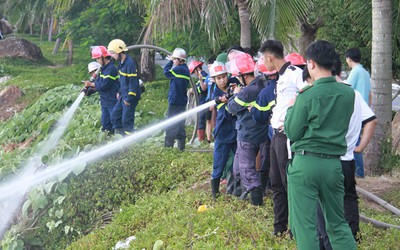 Rừng ở bán đảo Sơn Trà cháy vì du khách bất cẩn