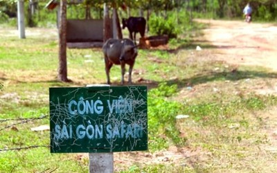 Chọn được nhà thầu gói thiết bị liên quan dự án Công viên Sài Gòn Safari