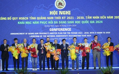 Hơn 20.000 tỷ đồng sắp được đầu tư vào Quảng Nam