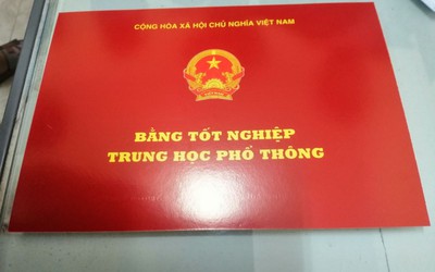 Một hiệu trưởng trường mầm non ở Hà Nội bị thu hồi bằng tốt nghiệp THPT