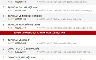 Năm 2017, doanh nghiệp tư nhân nào xếp hạng lớn nhất Việt Nam?