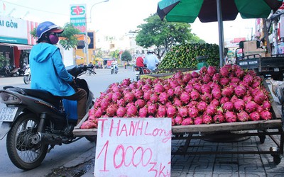 Đến lượt thanh long bị… giải cứu (!!)