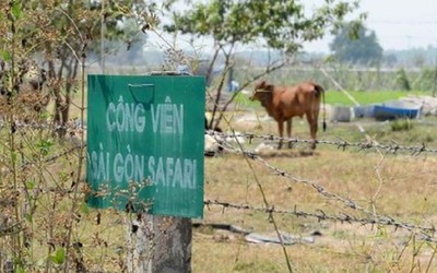 Thất thoát 104 tỷ đồng tại dự án Sài Gòn Safari