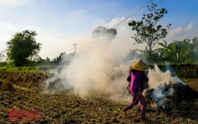 Bảo vệ môi trường Hà Nội: Kịch bản nào “giải cứu” nạn đốt rơm?