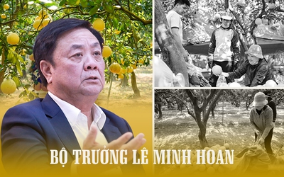 [E] “Đổi mới mà không bị phản đối thì không còn là mới”