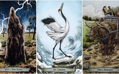 Bói Tarot: Câu chuyện tình yêu của bạn trong những ngày giữa tháng 3