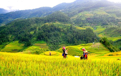 Giải pháp thúc đẩy phát triển bền vững vùng Trung du và miền núi Bắc Bộ