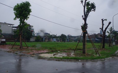 Đấu giá thuận lợi đến bất ngờ, nhà đầu tư khu dân cư Bắc cầu Sâng thắng lớn?