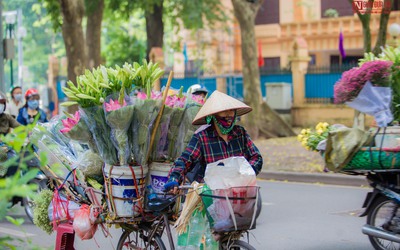 Hoa sen đầu mùa rong ruổi khắp phố phường Hà Nội