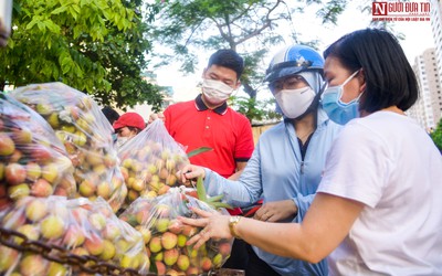 Người dân Hà Nội đổ xô đi giải cứu nông sản Bắc Giang