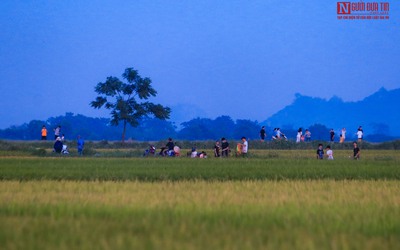 Hà Nội: Người dân tụ tập thả diều "bỏ quên" khuyến cáo của thành phố