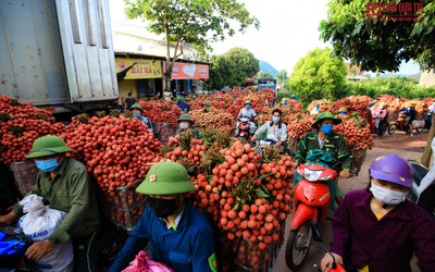 Tắc đường từ sớm, những chiếc xe chở vải nối hàng dài km