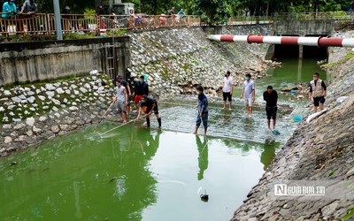 Nước sông Tô Lịch chuyển xanh, người dân phấn khởi bắt cá