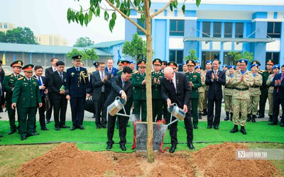 Chủ tịch nước cùng Toàn quyền Australia trồng "cây hòa bình"