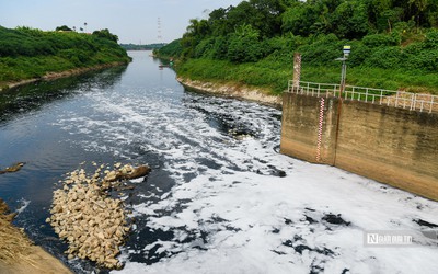 Nước sông Nhuệ ô nhiễm trầm trọng, chảy ngược ra sông Hồng