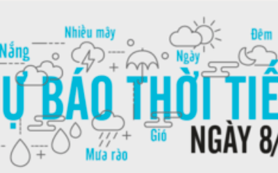 Dự báo thời tiết ngày 8/12: Người tình mùa Đông đi đâu?