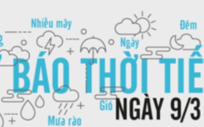 Dự báo thời tiết ngày 9/3: Nắng nhảy nhót trên từng tán lá