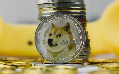 Đồng tiền "trò chơi" Dogecoin tăng đột biến 25.000%