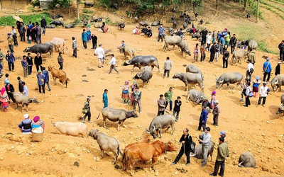 Trải nghiệm phiên chợ bán "đầu cơ nghiệp" lớn nhất Tây Bắc