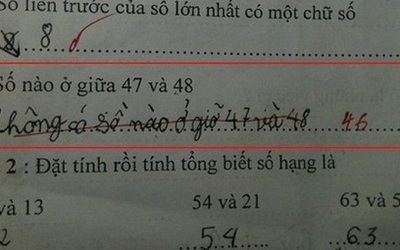 Những bài toán tiểu học tưởng dễ "như ăn kẹo" nhưng lại khiến người lớn không biết đường nào mà lần