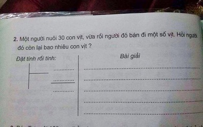 Dân mạng “đào” lại bài toán lớp 3 tính số vịt khiến người lớn “căng não” tìm lời giải