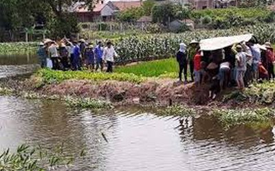 Đi gặt lúa cùng mẹ, hai bé trai rơi xuống ao tử vong